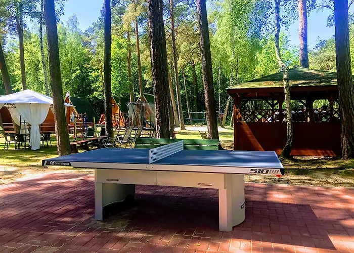 Orman Evi Letniskowe Maja